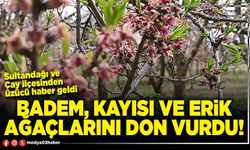 Badem, kayısı ve erik ağaçlarını don vurdu!