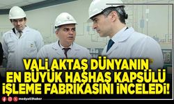 Vali Aktaş Dünyanın en büyük haşhaş kapsülü işleme fabrikasını inceledi!
