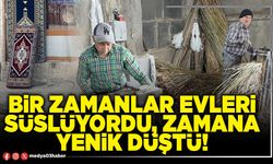 Bir zamanlar evleri süslüyordu, zamana yenik düştü!