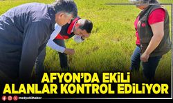 Afyon’da ekili alanlar kontrol ediliyor