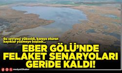 Eber Gölü’nde felaket senaryoları geride kaldı!