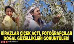 Kirazlar çiçek açtı, fotoğrafçılar doğal güzellikleri görüntüledi