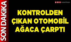 Kontrolden çıkan otomobil ağaca çarptı