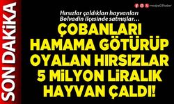 Çobanları hamama götürüp oyalan hırsızlar 5 Milyon liralık hayvan çaldı!