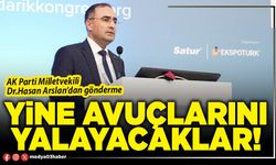 Yine avuçlarını yalayacaklar!