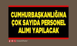 Cumhurbaşkanlığına çok sayıda personel alımı yapılacak
