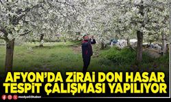 Afyon’da zirai don hasar tespit çalışması yapılıyor