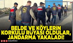 Belde ve köylerin korkulu rüyası oldular, Jandarma yakaladı!