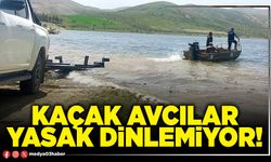 Kaçak avcılar yasak dinlemiyor!