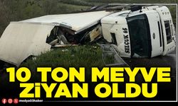 10 ton meyve ziyan oldu