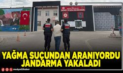 Yağma suçundan aranıyordu Jandarma yakaladı