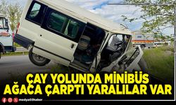 Çay yolunda minibüs ağaca çarptı yaralılar var