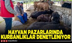 Hayvan pazarlarında kurbanlıklar denetleniyor