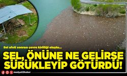 Sel, önüne ne gelirse sürükleyip götürdü!