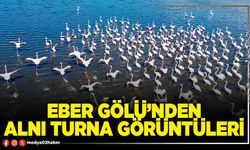 Eber Gölü’nden alnı turna görüntüleri