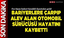 Bariyerlere çarpıp alev alan otomobil sürücüsü hayatını kaybetti