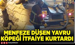 Menfeze düşen yavru köpeği itfaiye kurtardı