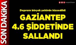 Gaziantep 4.6 şiddetinde sallandı