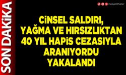 Cinsel saldırı, yağma ve hırsızlıktan 40 yıl hapis cezasıyla aranıyordu yakalandı
