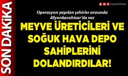 Meyve üreticileri ve soğuk hava depo sahiplerini dolandırdılar!