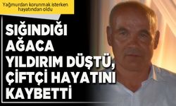 Sığındığı ağaca yıldırım düştü, çiftçi hayatını kaybetti