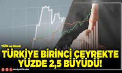 Türkiye birinci çeyrekte yüzde 2,5 büyüdü!