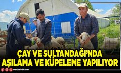 Çay ve Sultandağı’nda aşılama ve küpeleme yapılıyor