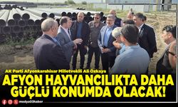 Afyon hayvancılıkta daha güçlü konumda olacak!