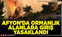 Afyon’da ormanlık alanlara giriş yasaklandı