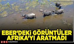 Eber’deki görüntüler Afrika’yı aratmadı