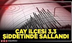 Çay İlçesi 3,3 şiddetinde sallandı