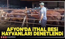 Afyon’da ithal besi hayvanları denetlendi