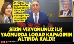Sizin vizyonunuz ilk yağmurda logar kapağının altında kaldı!