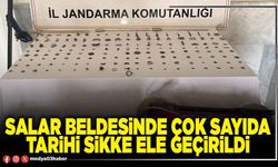 Salar Beldesinde çok sayıda tarihi sikke ele geçirildi