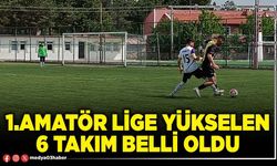 1. Amatör lige yükselen 6 takım belli oldu