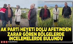 AK Parti heyeti dolu afetinden zarar gören bölgelerde incelemelerde bulundu