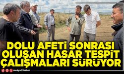 Dolu afeti sonrası oluşan hasar tespit çalışmaları sürüyor