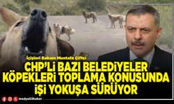 CHP’li bazı Belediyeler köpekleri toplama konusunda işi yokuşa sürüyor