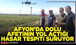 Afyon’da dolu afetinin yol açtığı hasar tespiti sürüyor