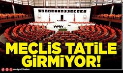 Meclis tatile girmiyor!