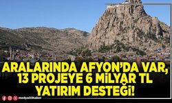 Aralarında Afyon’da var, 13 projeye 6 Milyar TL yatırım desteği!