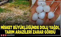 Misket büyüklüğünde dolu yağdı, tarım arazileri zarar gördü