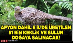 Afyon dahil 8 İl’de üretilen 51 bin keklik ve sülün doğaya salınacak!