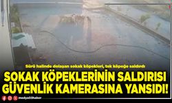 Sokak köpeklerinin saldırısı güvenlik kamerasına yansıdı!