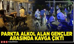 Parkta alkol alan gençler arasında kavga çıktı
