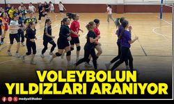 Voleybolun yıldızları aranıyor