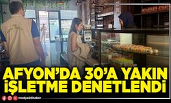 Afyon’da 30'a yakın işletme denetlendi
