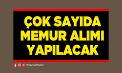 Cok sayıda memur alımı yapılacak