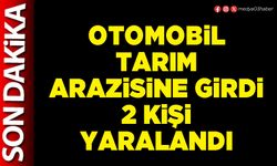 Otomobil tarım arazisine girdi 2 kişi yaralandı