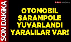 Otomobil şarampole yuvarlandı yaralılar var!